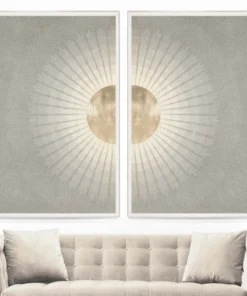 Natural Curiosities Solaris 1 Framed Artwork New Arrivals