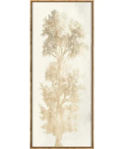 Natural Curiosities Strutt Tree 1 Framed Artwork