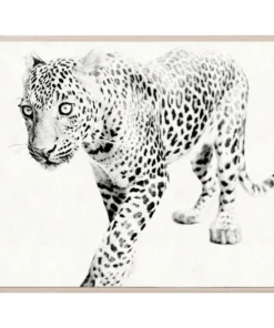 Natural Curiosities New Arrivals Tylinek Leopard Framed Artwork