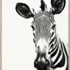Natural Curiosities Tylinek Zebra Framed Artwork New Arrivals 1 Natural Curiosities Tylinek Zebra Framed Artwork New Arrivals