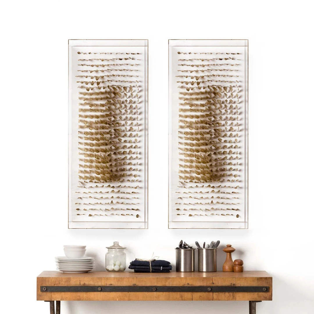 Natural Curiosities Vertical Golden Feathers Framed Artwork New Arrivals 4 Natural Curiosities Vertical Golden Feathers Framed Artwork New Arrivals