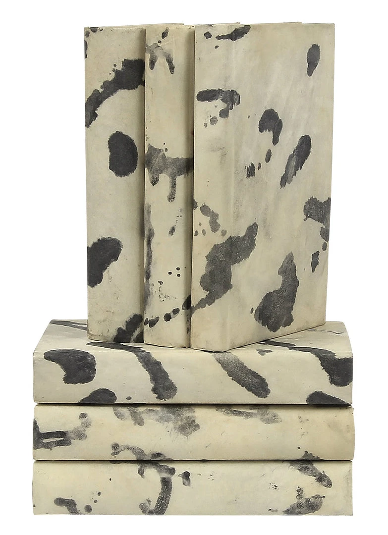 E Lawrence New Arrivals Natural Vellum Book Set Of 6 3 E Lawrence New Arrivals Natural Vellum Book Set Of 6