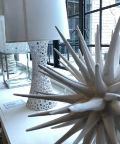 Oly Studio New Arrivals Sea Urchin