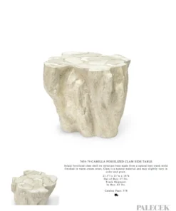 Palecek New Arrivals Camilla Fossilized Clam Side Table