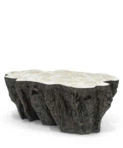 Palecek Chloe Fossil Clam Lava Coffee Table New Arrivals