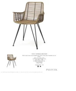 Palecek Hermosa Arm Chair New Arrivals