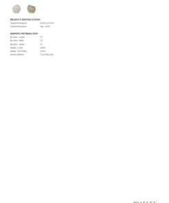 Palecek Manhattan Ivory Swivel Chair New Arrivals