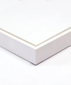 Natural Curiosities New Arrivals Palm Springs Golden Palms 2 Series 2 9 Natural Curiosities New Arrivals Palm Springs Golden Palms 2 Series 2