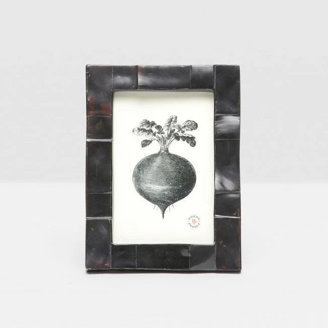 Pigeon And Poodle Lesina Frame Black Pen Shell 3 Pigeon And Poodle Lesina Frame Black Pen Shell