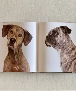 Clayton Gray Home Rover By Amanda Hedlund & Andrew Grant New Arrivals