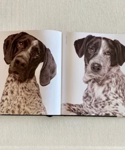 Clayton Gray Home Rover By Amanda Hedlund & Andrew Grant New Arrivals